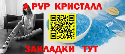 кокс Кингисепп